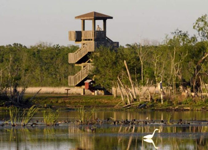 Brazos Bend State Park, Texas, USA